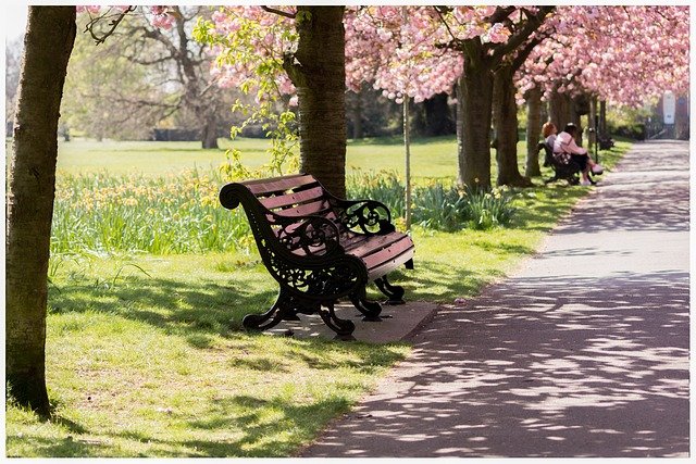 London Blossom Walk Itinerary: Greenwich Park & Hidden Gems